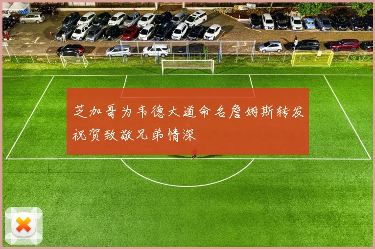 芝加哥为韦德大道命名詹姆斯转发祝贺致敬兄弟情深